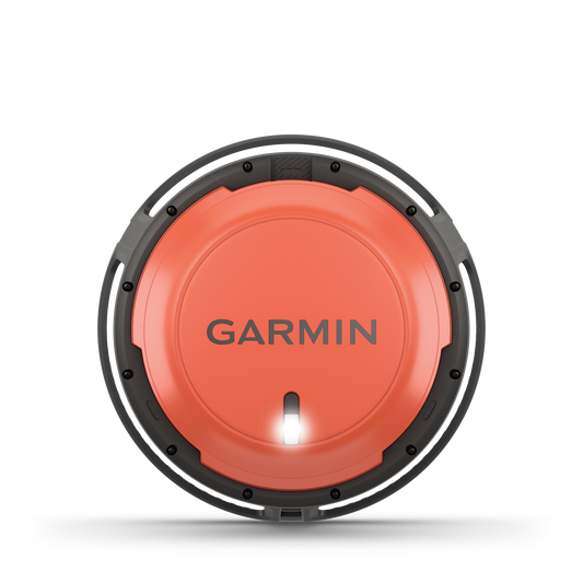 Garmin Boya Descent S1