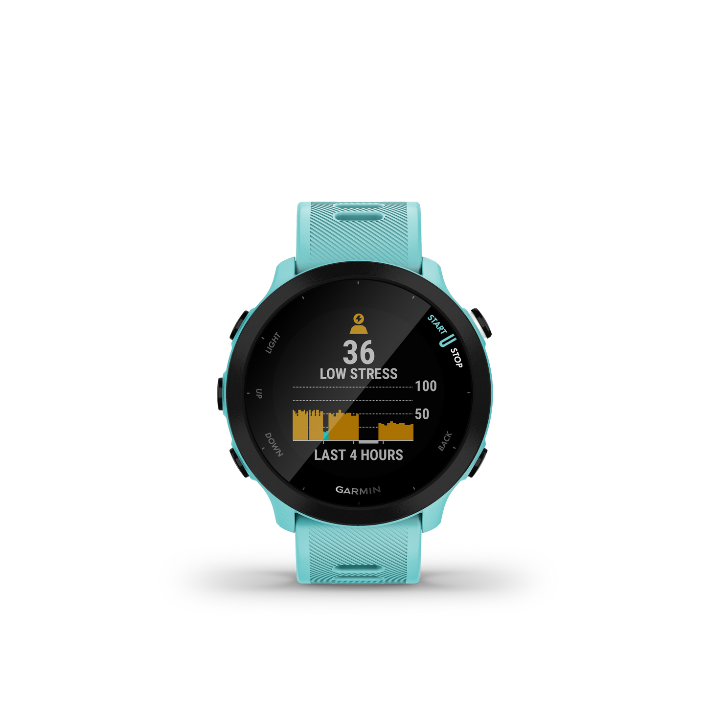 Garmin Forerunner 55 Aguamarina